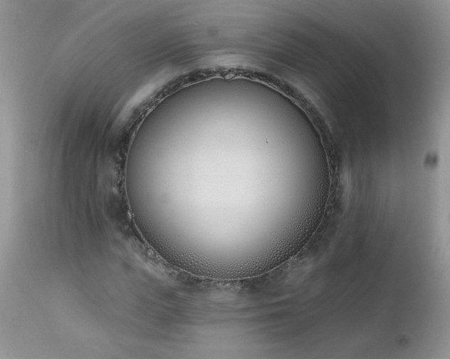 X0000112840823200908211239