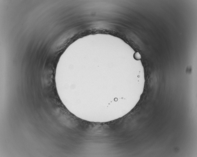 X0000112840824200908211239