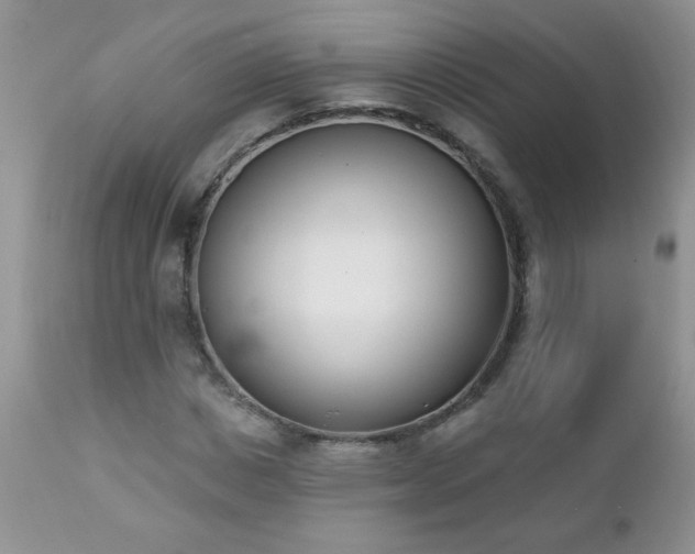 X0000112840825200908211239