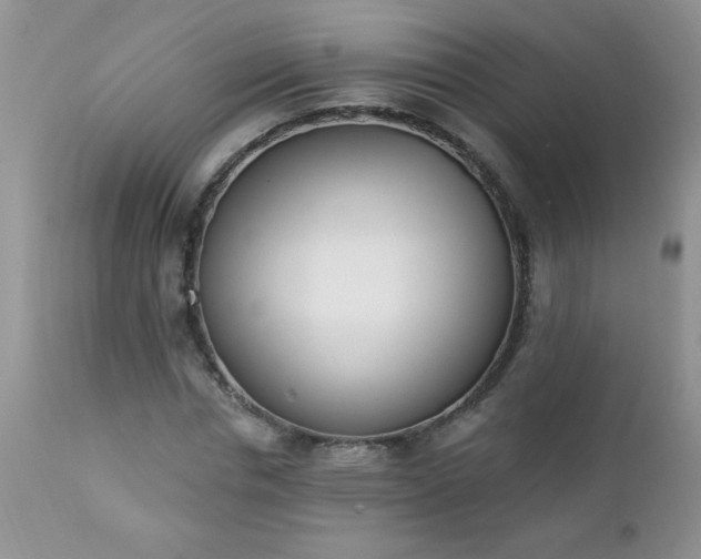 X0000112840826200908211239