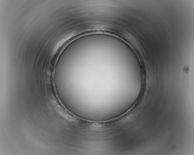 X0000112840827200908211239