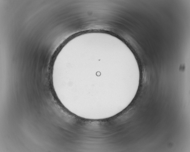 X0000112840828200908211239