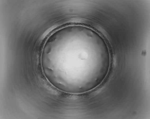 X0000112840829200908211239