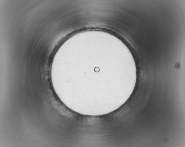 X0000112840832200908211239