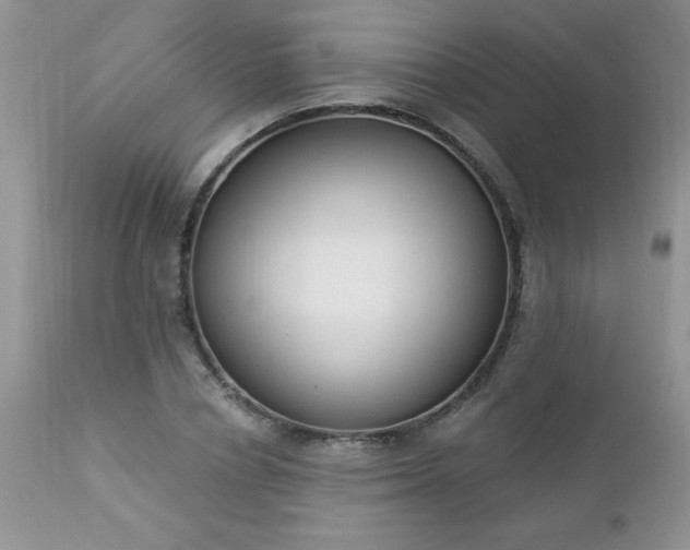 X0000112840834200908211239