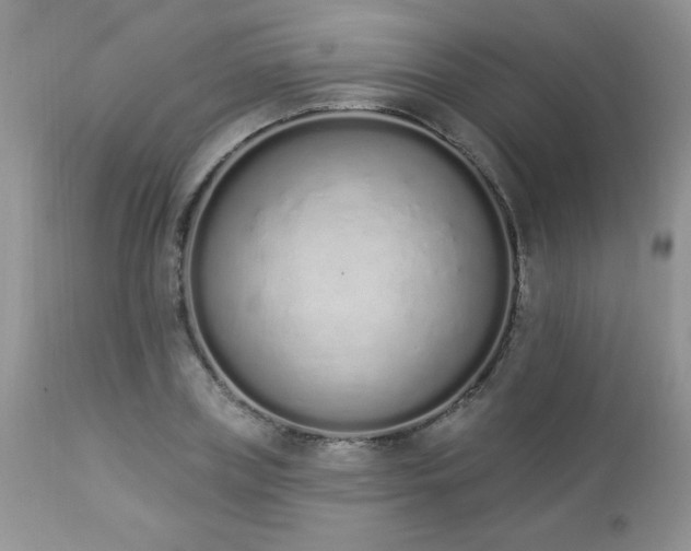 X0000112840835200908211239