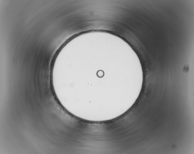 X0000112840836200908211239