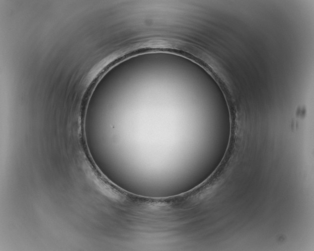 X0000112840837200908211239