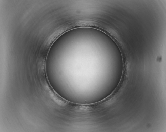 X0000112840841200908211239