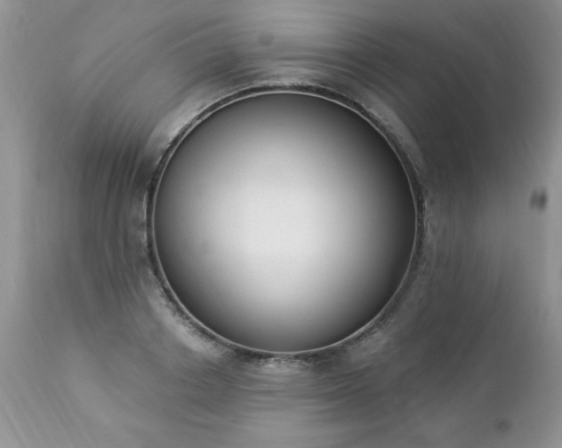 X0000112840842200908211239