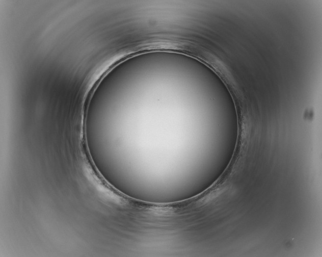 X0000112840844200908211239