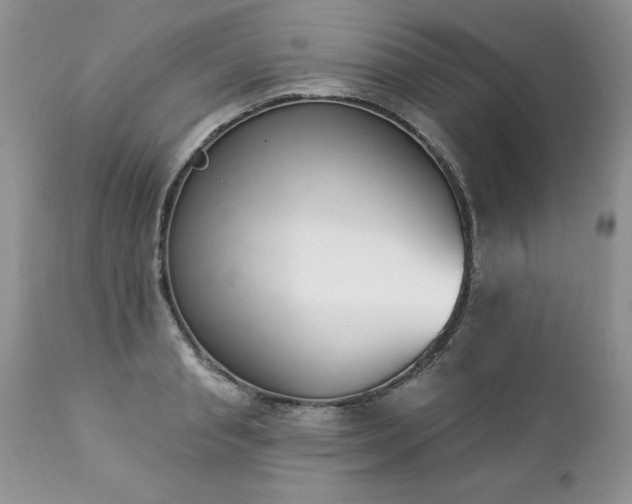 X0000112840845200908211239