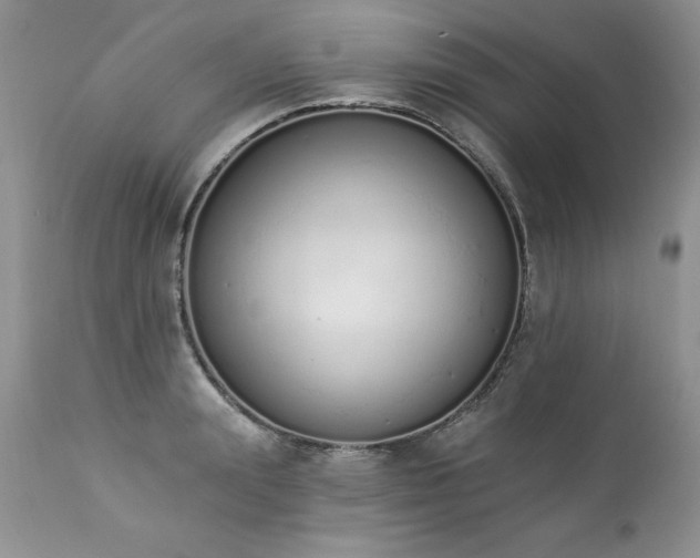 X0000112840847200908211240