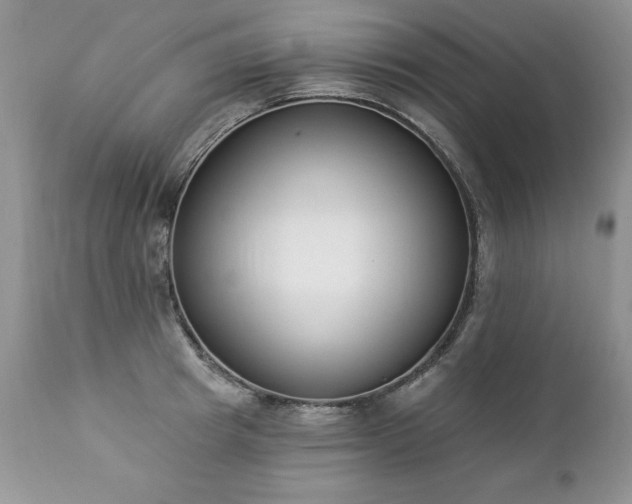 X0000112840849200908211240