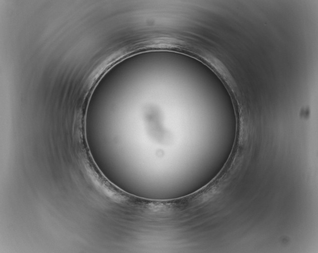 X0000112840850200908211240