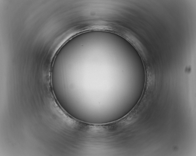 X0000112840852200908211240