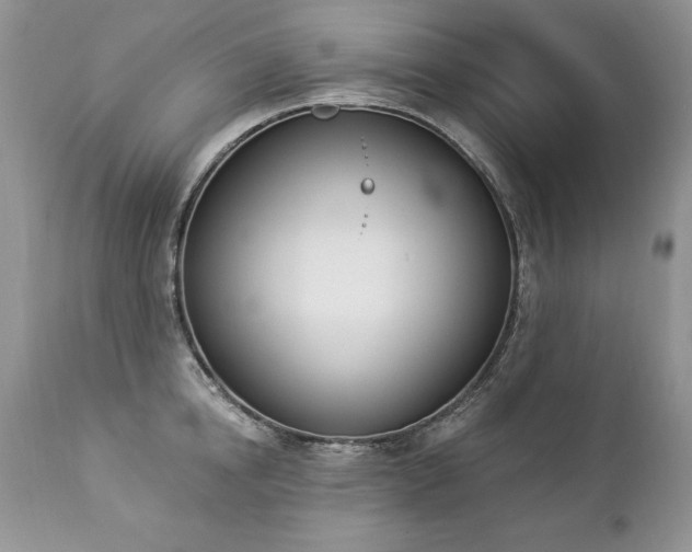 X0000112840854200908211240