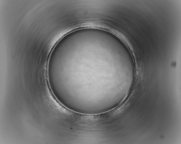 X0000112840855200908211240