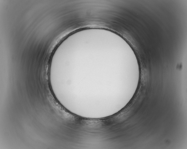 X0000112840856200908211240