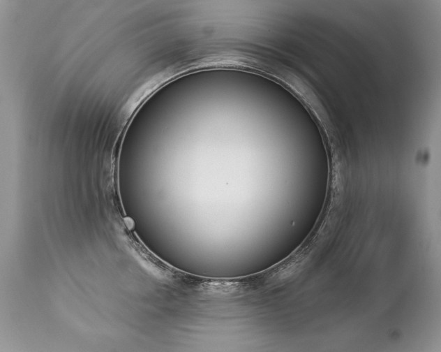 X0000112840858200908211240