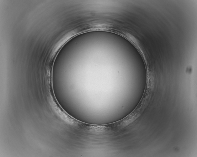 X0000112840859200908211240