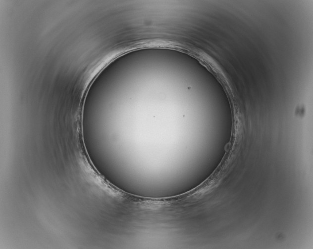 X0000112840860200908211240