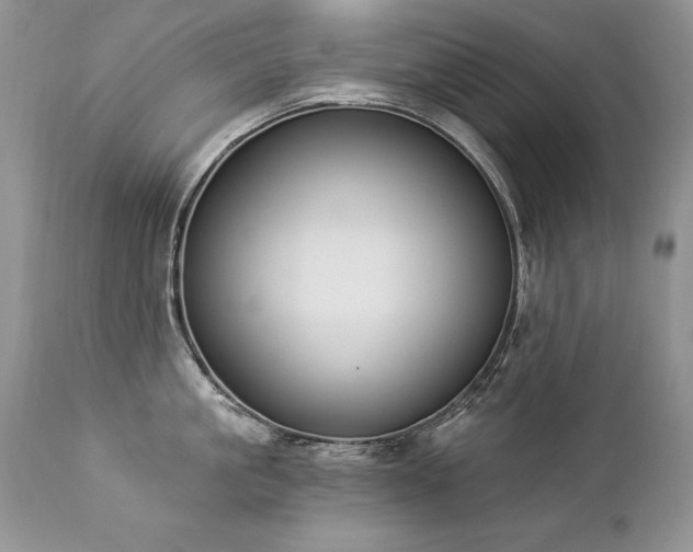 X0000112840861200908211240