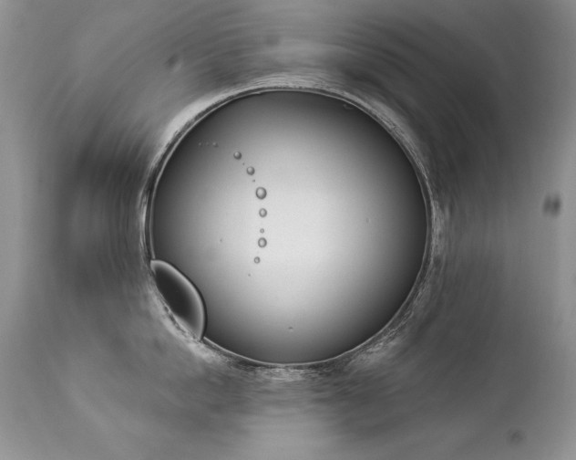 X0000112840862200908211240