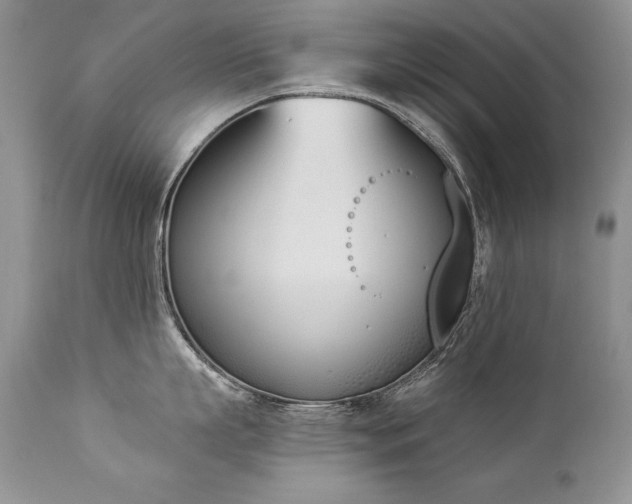 X0000112840863200908211240