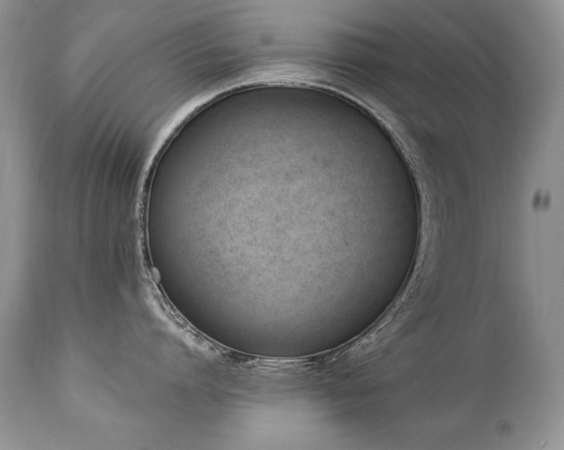 X0000112840864200908211240