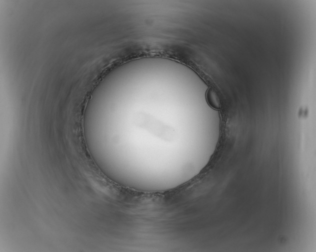 X0000112840865200908211239