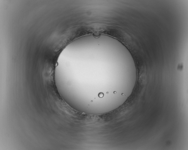 X0000112840866200908211239