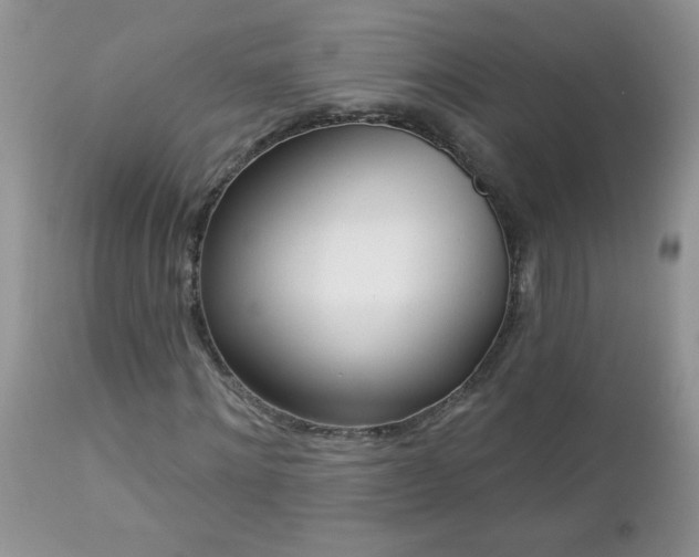 X0000112840868200908211239