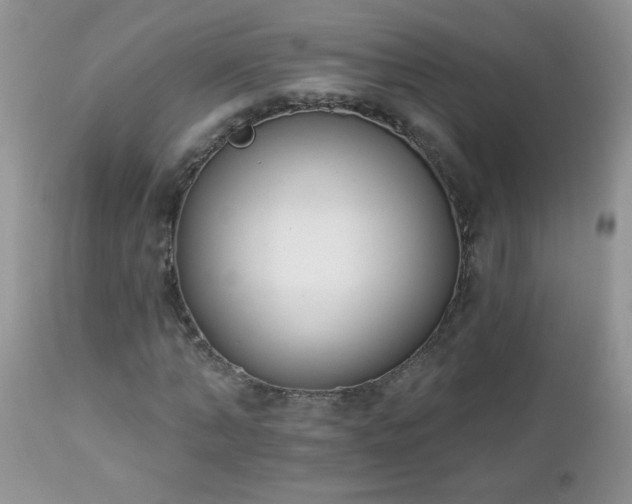 X0000112840870200908211239