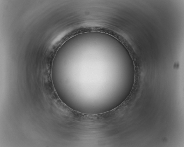 X0000112840871200908211239