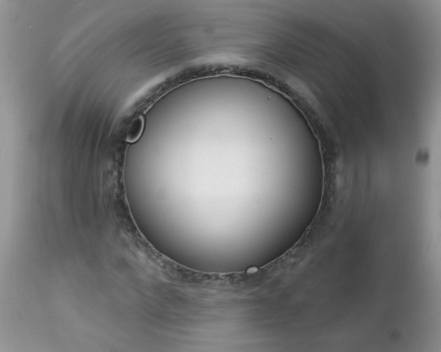 X0000112840872200908211239