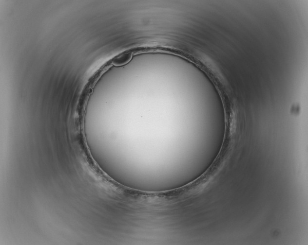 X0000112840876200908211239