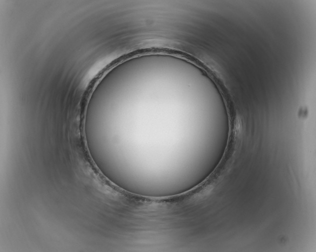 X0000112840877200908211239