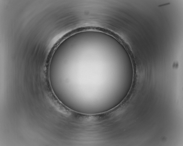 X0000112840879200908211239