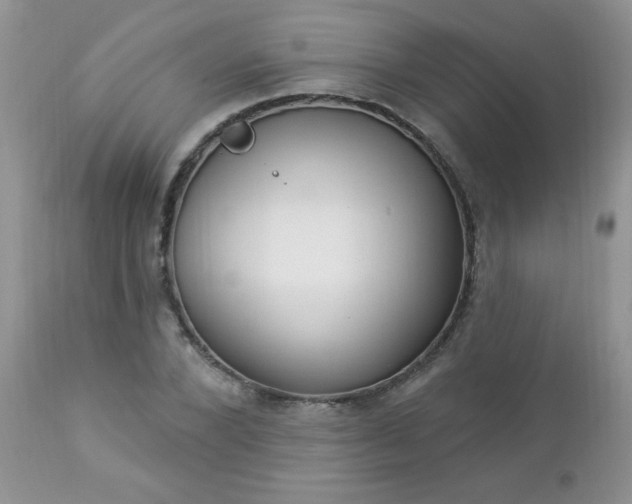 X0000112840880200908211239