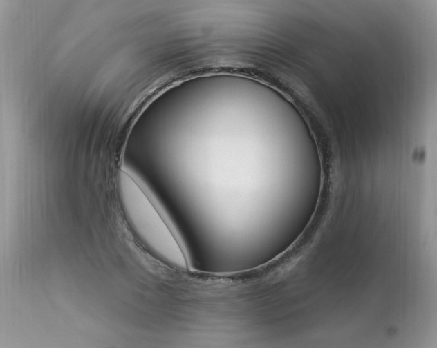 X0000112840881200908211239