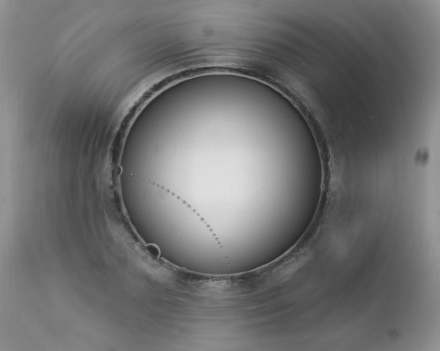 X0000112840883200908211239