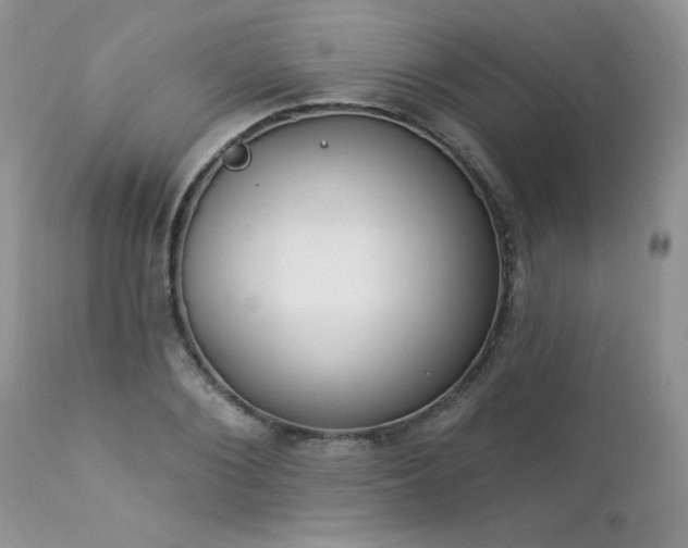 X0000112840884200908211239