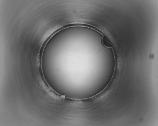 X0000112840885200908211239