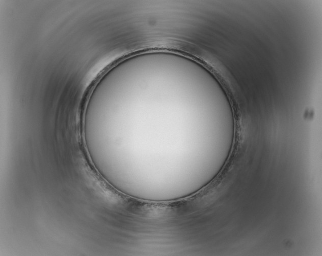 X0000112840886200908211239