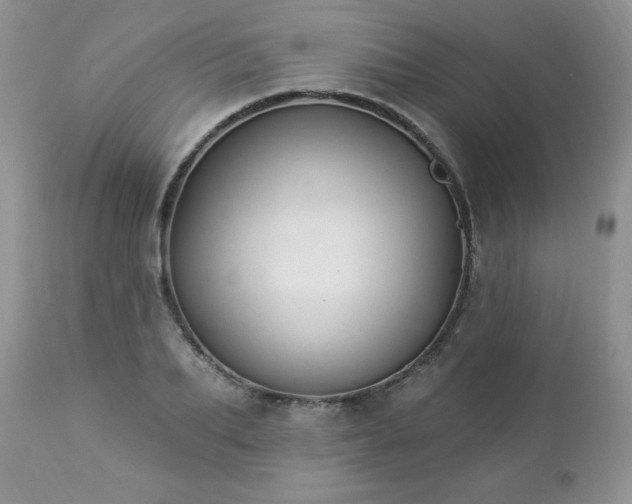 X0000112840887200908211239