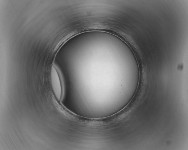 X0000112840889200908211239