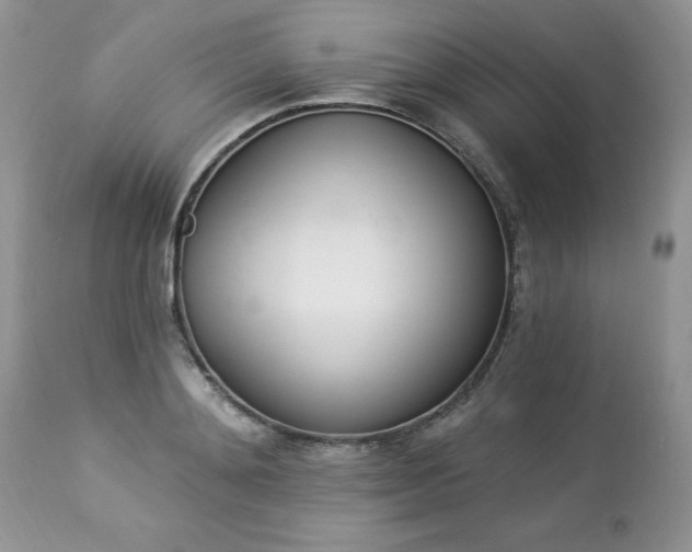 X0000112840892200908211239