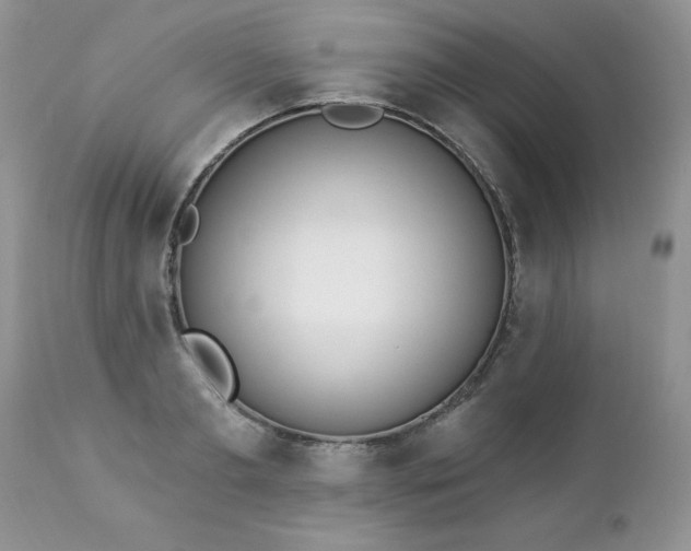 X0000112840893200908211239