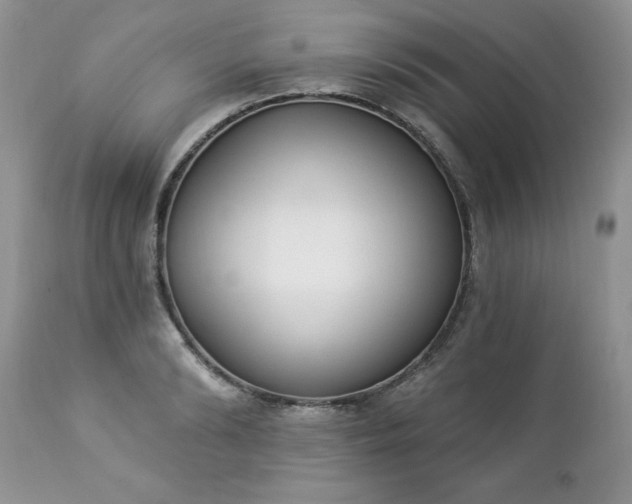 X0000112840894200908211239